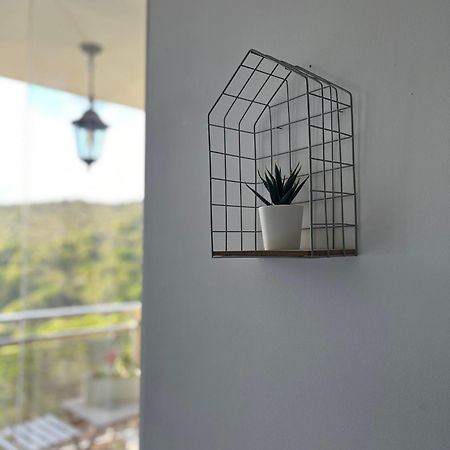 Your Holidays Apartment بلاتجا ذارو المظهر الخارجي الصورة