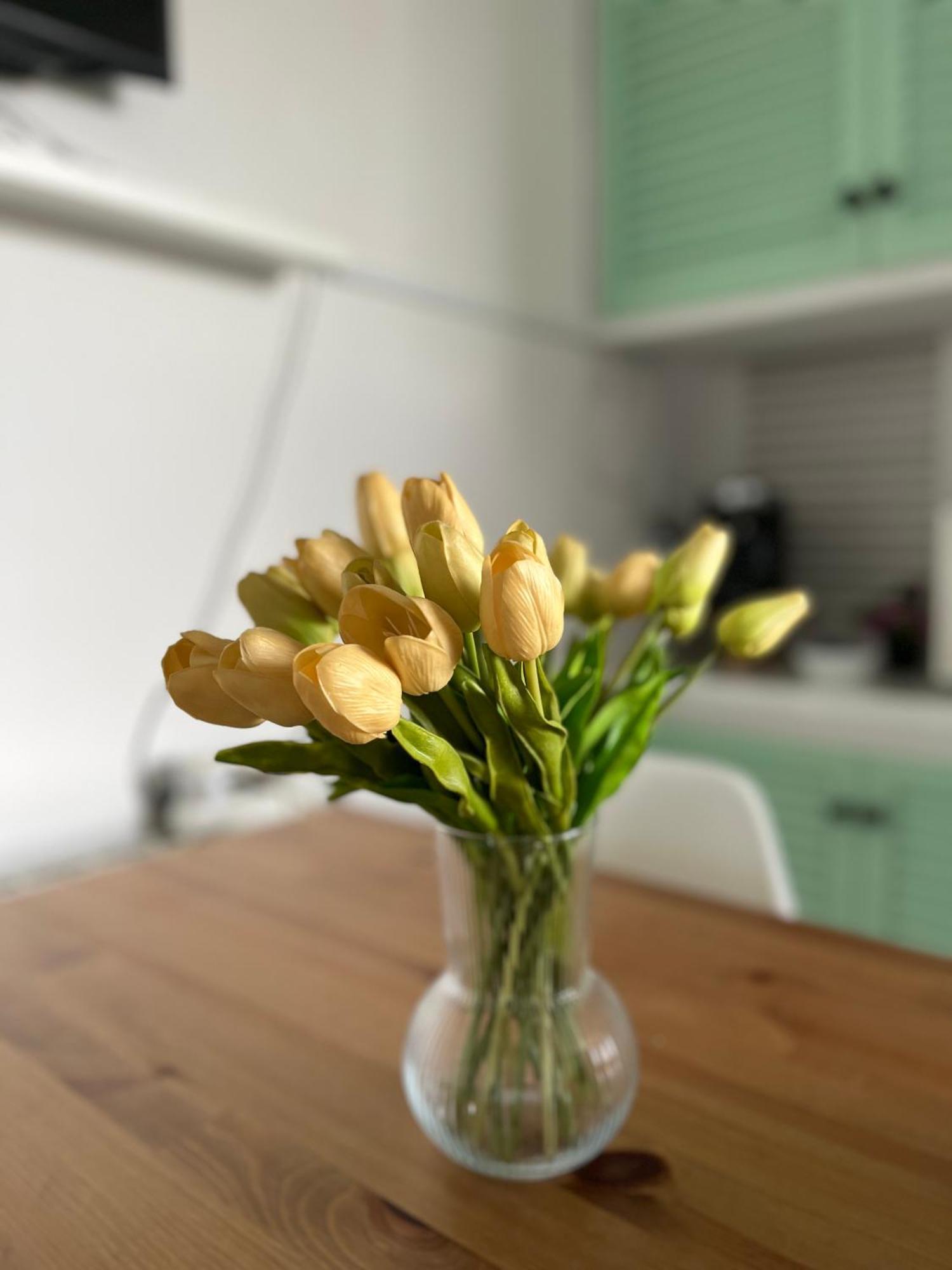 Your Holidays Apartment بلاتجا ذارو المظهر الخارجي الصورة